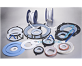 PTFE Gasket
